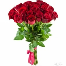 Розы 19шт